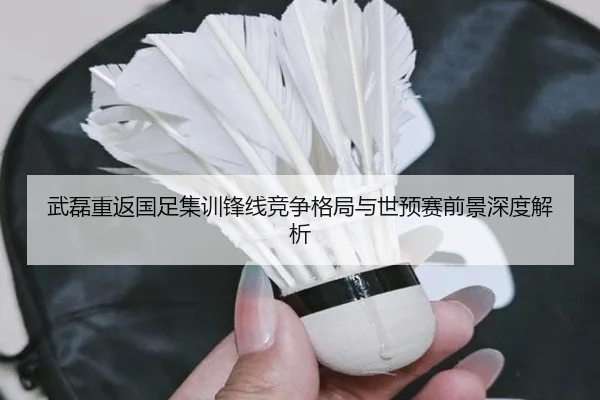 武磊重返国足集训锋线竞争格局与世预赛前景深度解析 - LDSPORTS