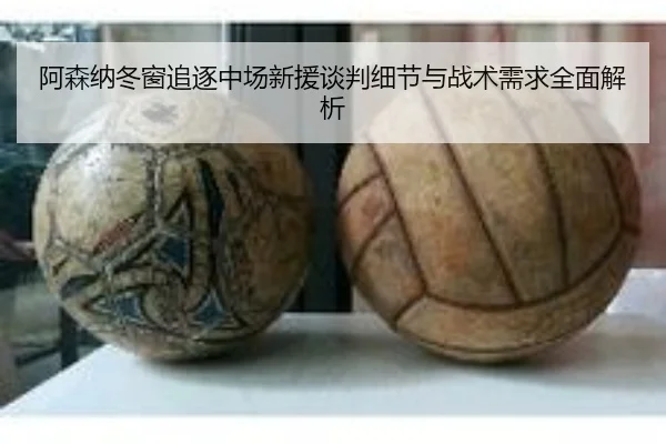 阿森纳冬窗追逐中场新援谈判细节与战术需求全面解析 | LDSPORTS